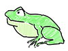 カエル | フロッグ - キャラクター｜人物｜フリーイラスト