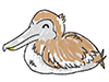 ペリカン | 鳥 - キャラクター｜人物｜フリーイラスト